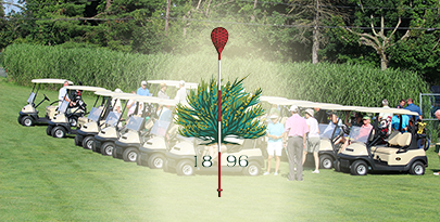 Large merion icon